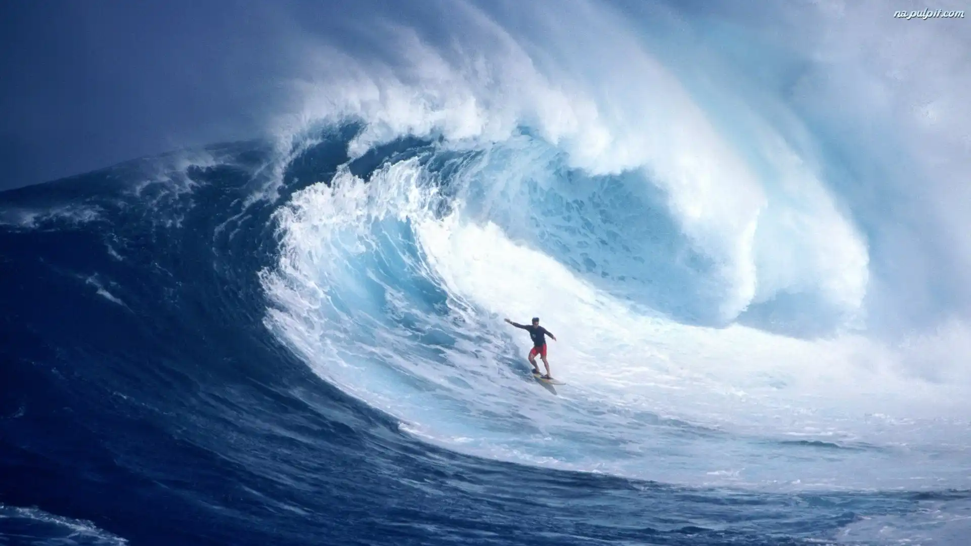 Fala, Surfing Na Pulpit